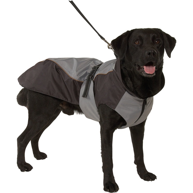 Hundewintermantel Iso Reflex Bild 3