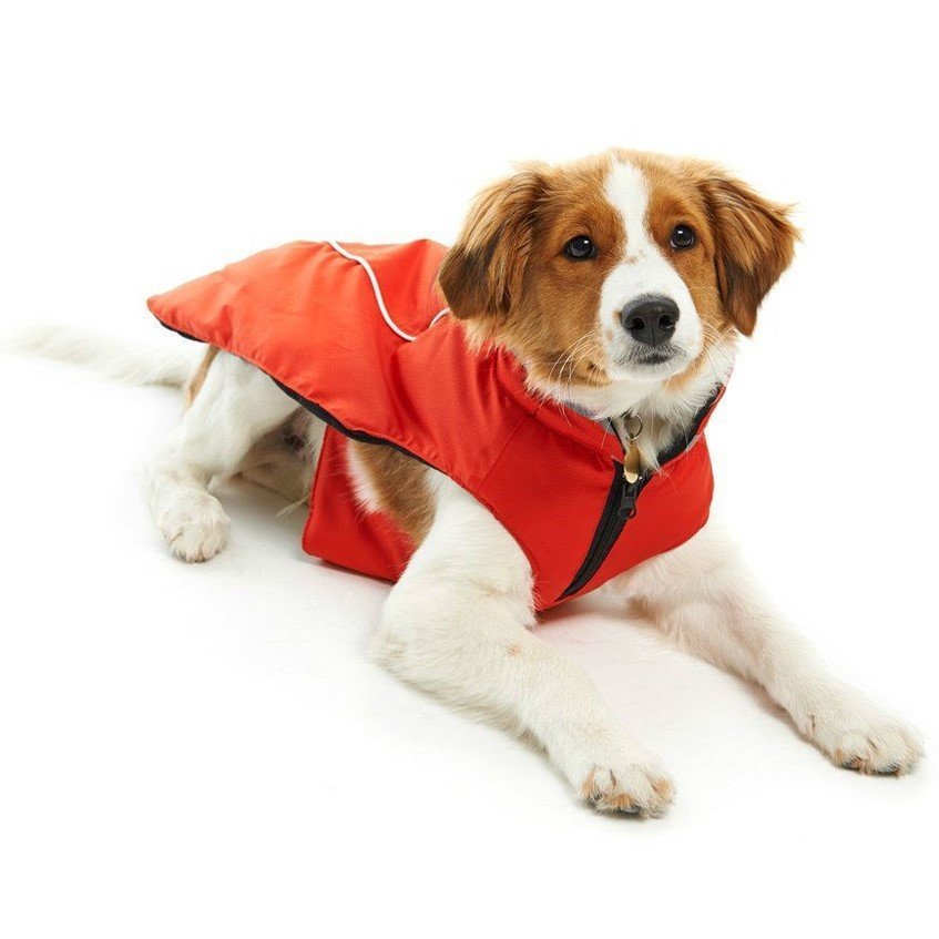 Wintermantel Reflex für Hunde Bild 6