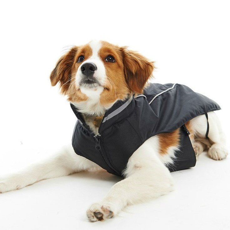 Wintermantel Reflex für Hunde Bild 7