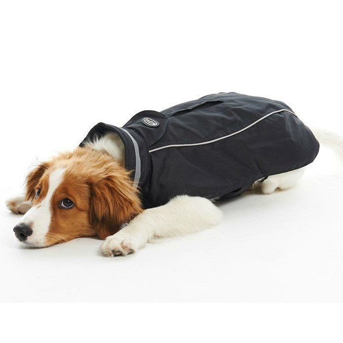 Wintermantel Reflex für Hunde Bild 8