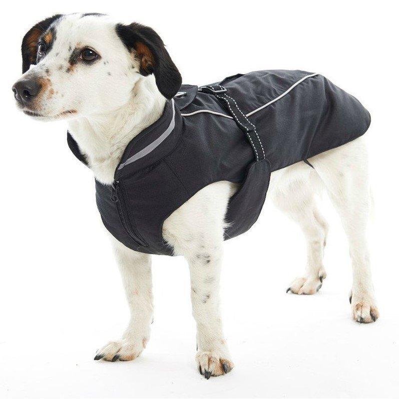 Wintermantel Reflex für Hunde Bild 2