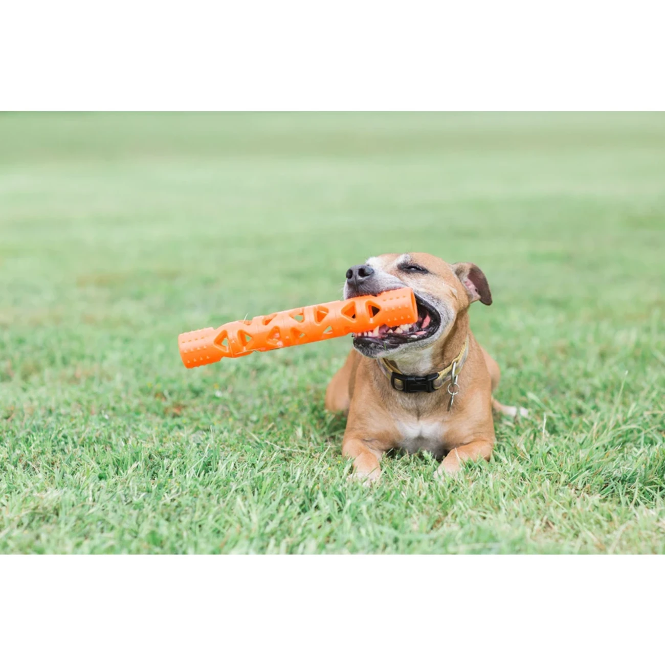 Chuckit! Breathe Right Air Fetch Stick Hundespielzeug Bild 3