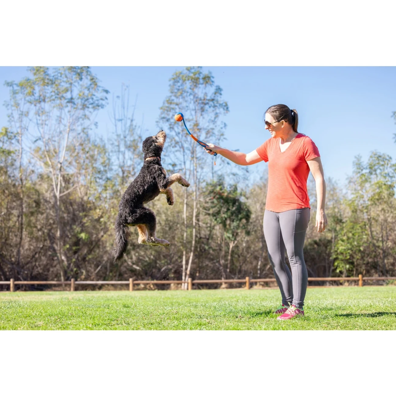 Chuckit! Fetch & Fold Launcher Original - Der ultimative Spielspaß für deinen Hund! Bild 2