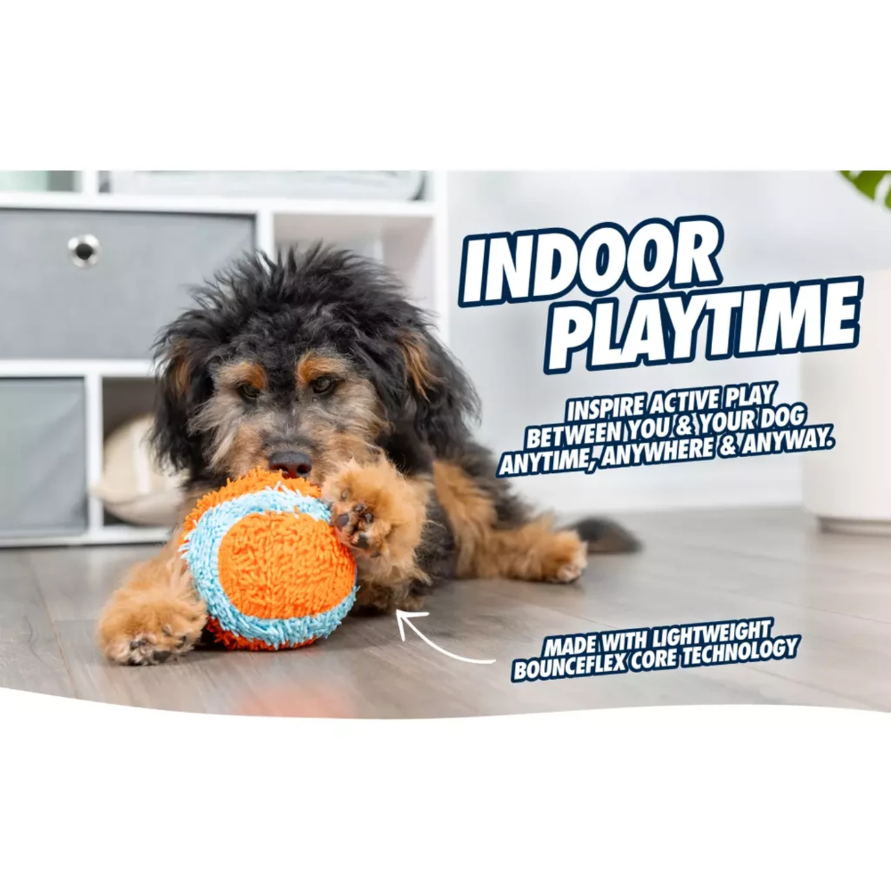 Chuckit! Indoor Shaker - Der perfekte Spielball für kleine Hunde Bild 2
