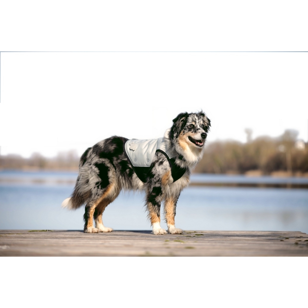 Cani.Cool Kühlweste für Hunde Bild 2
