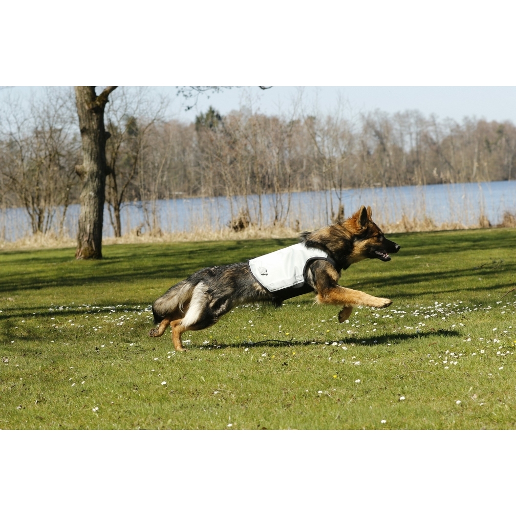 Cani.Cool Kühlweste für Hunde Bild 7