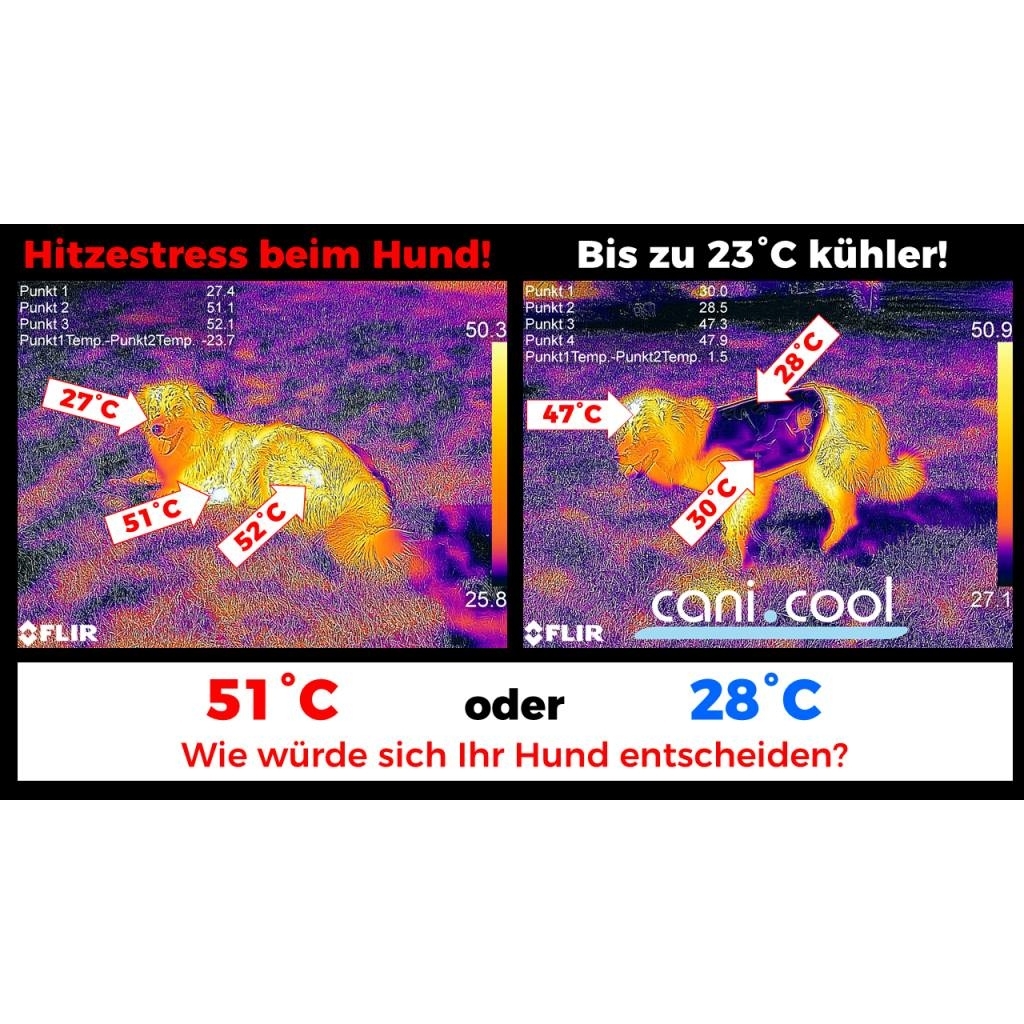 Cani.Cool Kühlweste für Hunde Bild 3