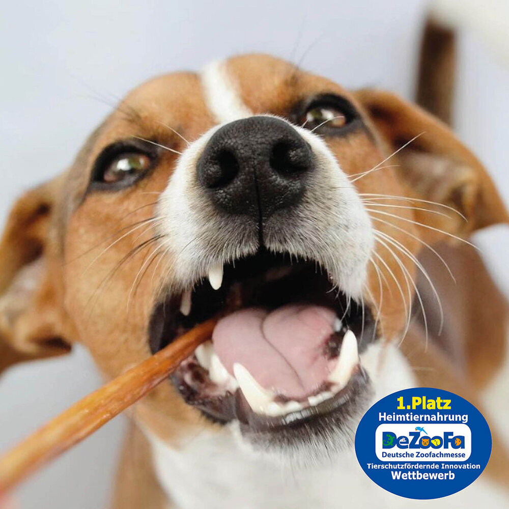 Carnello Welpenspaghetti Bild 4