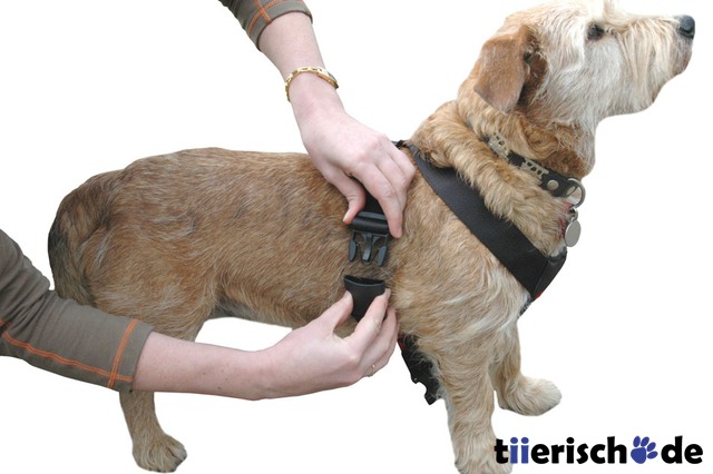 Autogeschirr für Hunde CLIX Car Safe Bild 8