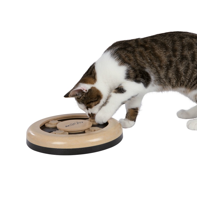 Cat Activity Fun Circle Katzenspielzeug Bild 5