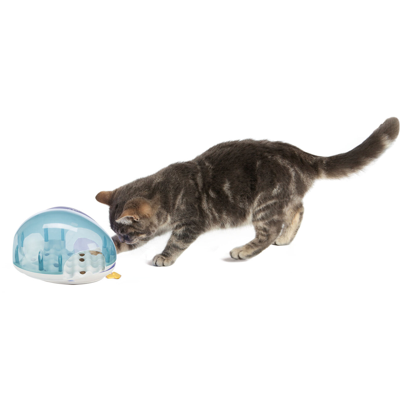 Cat Activity Katzen Snack Box Bild 2