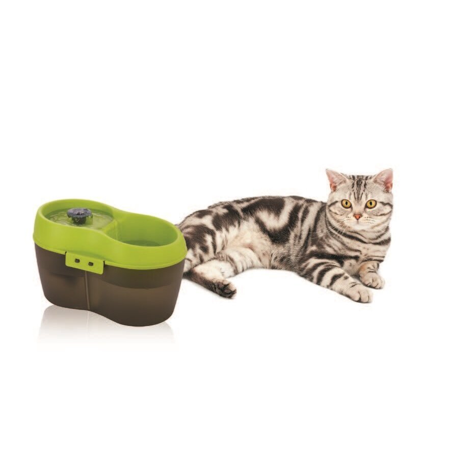 Katzentrinkbrunnen mit Zahnpflege Bild 4