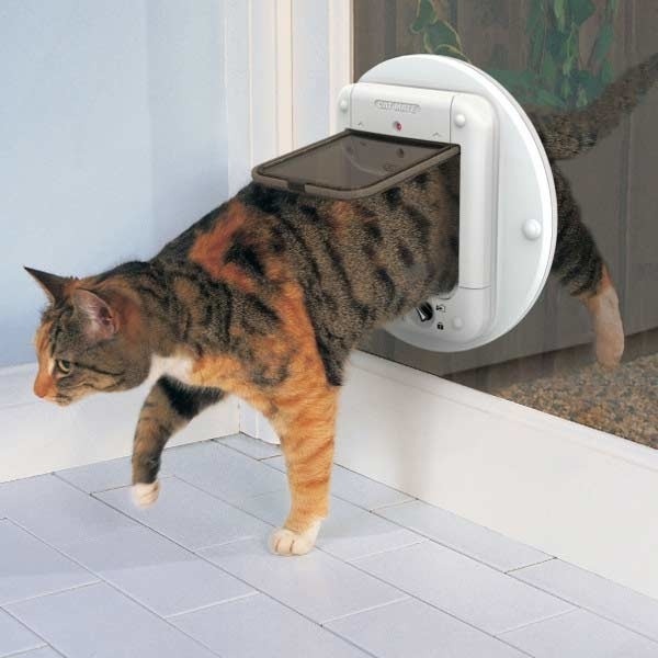 CAT MATE Adapter-Set 361 Für Wände und Glasscheiben Bild 3