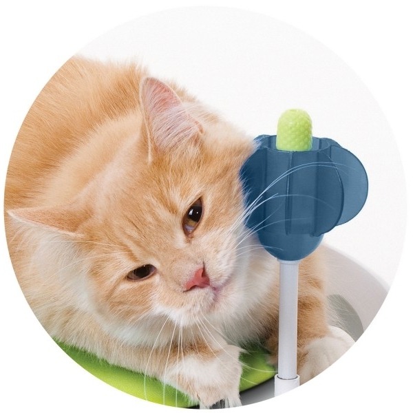 Catit Design Senses erhöhtes Bett Comfort Zone Bild 3