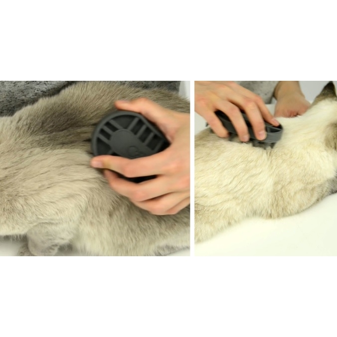 Catit Grooming Kit - Bürsten-Set für Katzen Bild 6