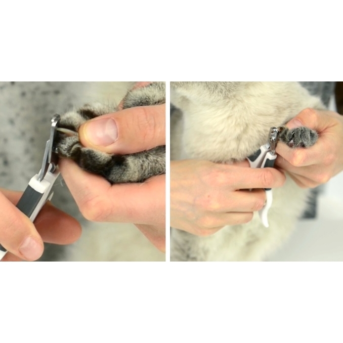 Catit Grooming Kit - Bürsten-Set für Katzen Bild 7