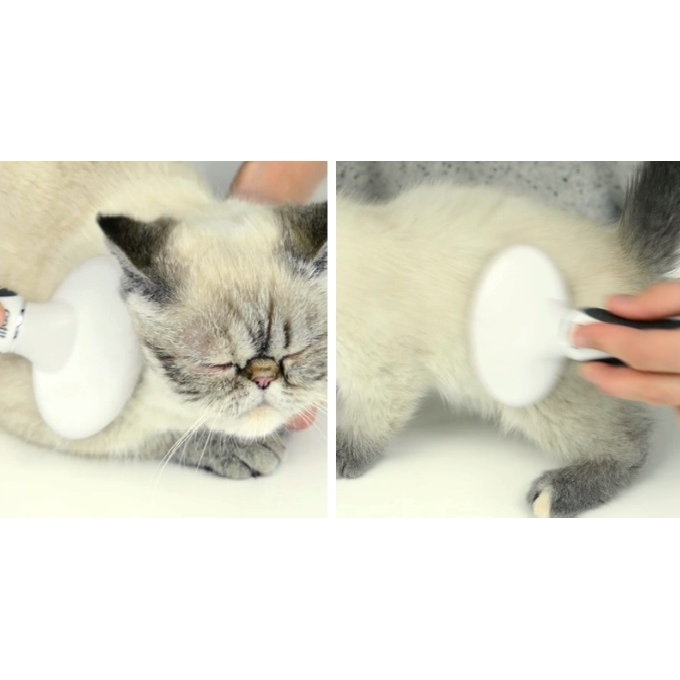 Catit Grooming Kit - Bürsten-Set für Katzen Bild 9