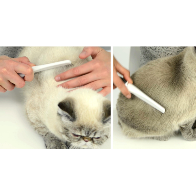 Catit Grooming Kit - Bürsten-Set für Katzen Bild 10