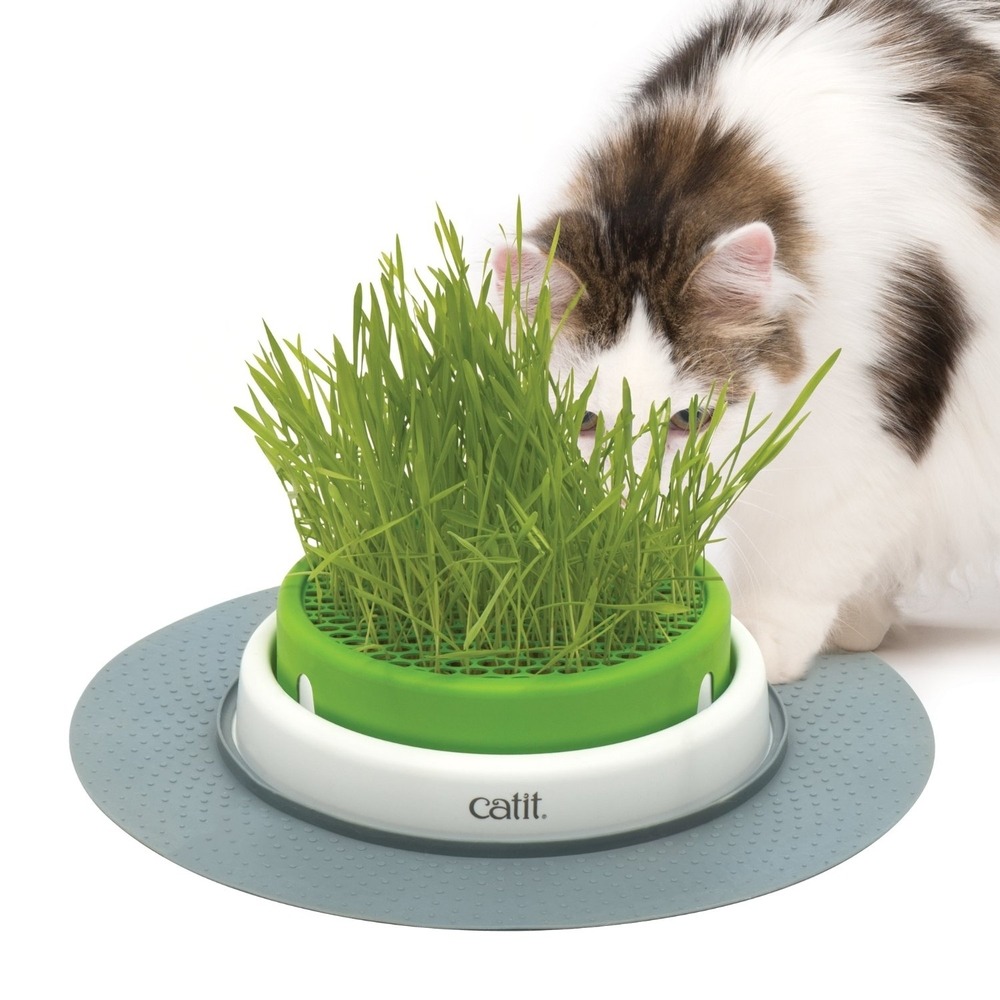 catit Senses 2.0 Grastopf Grass Planter Bild 2
