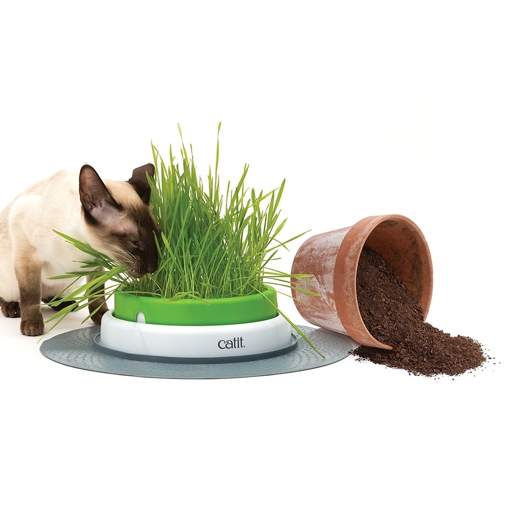 catit Senses 2.0 Grastopf Grass Planter Bild 3