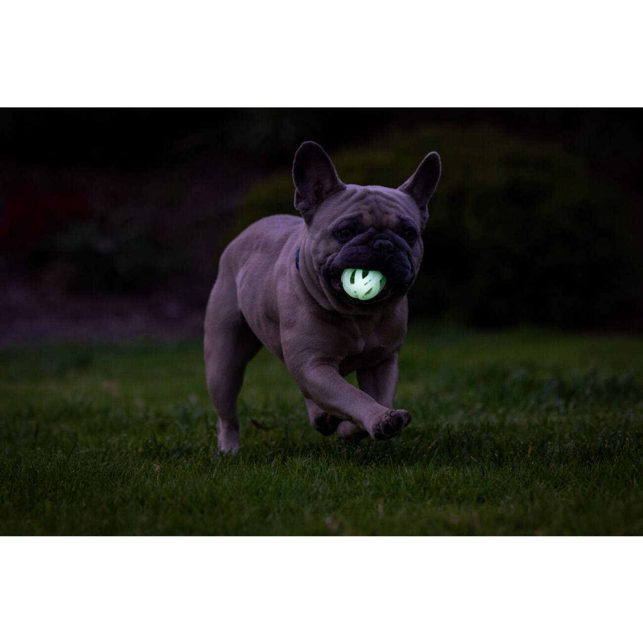 Chuckit! Air Glow Fetch Ball Bild 5