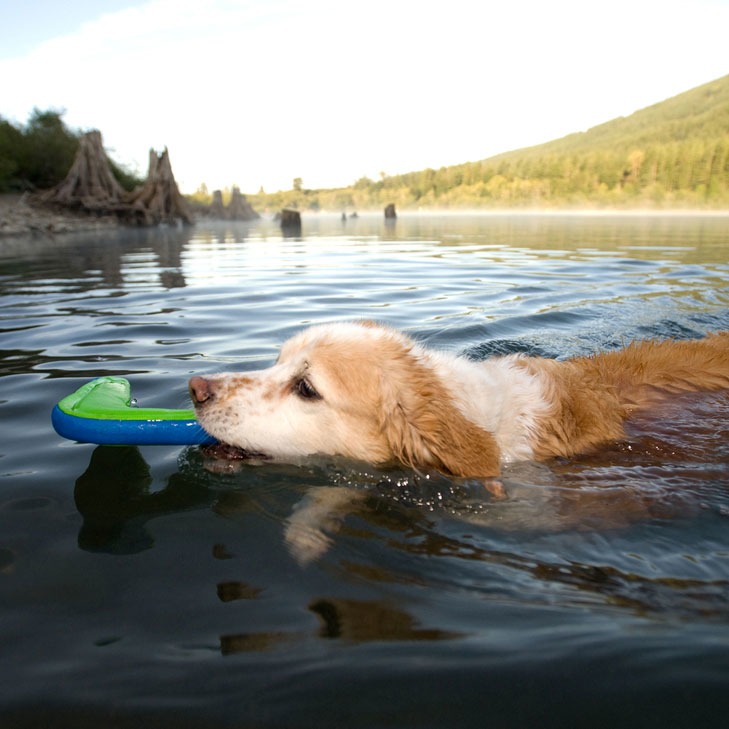Chuckit! Amphibious Boomerang Hunde Bumerang Bild 2