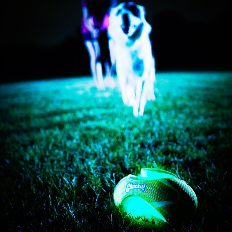 Chuckit! Fumble Fetch Max Glow Bild 3