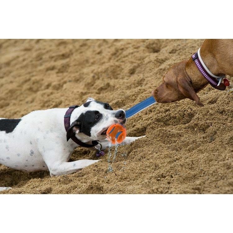Chuckit Hydro Squeeze Duo Tug Wasserspielzeug für Hunde Bild 2