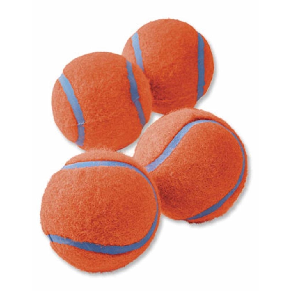 Chuckit! Tennis Ball Bild 7