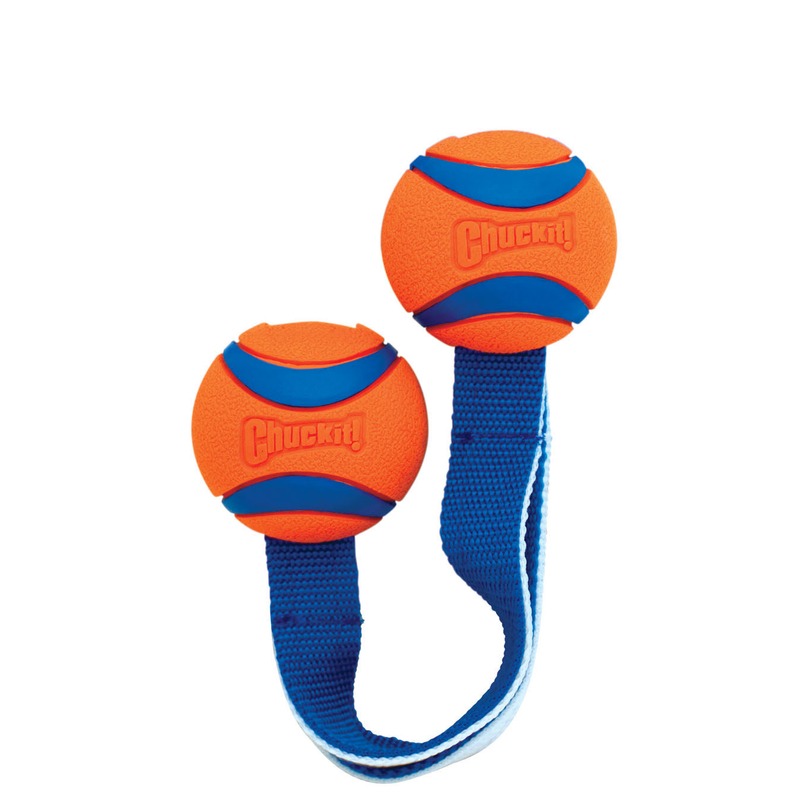 Chuckit Ultra Tug Duo Hundespielzeug Bild 2