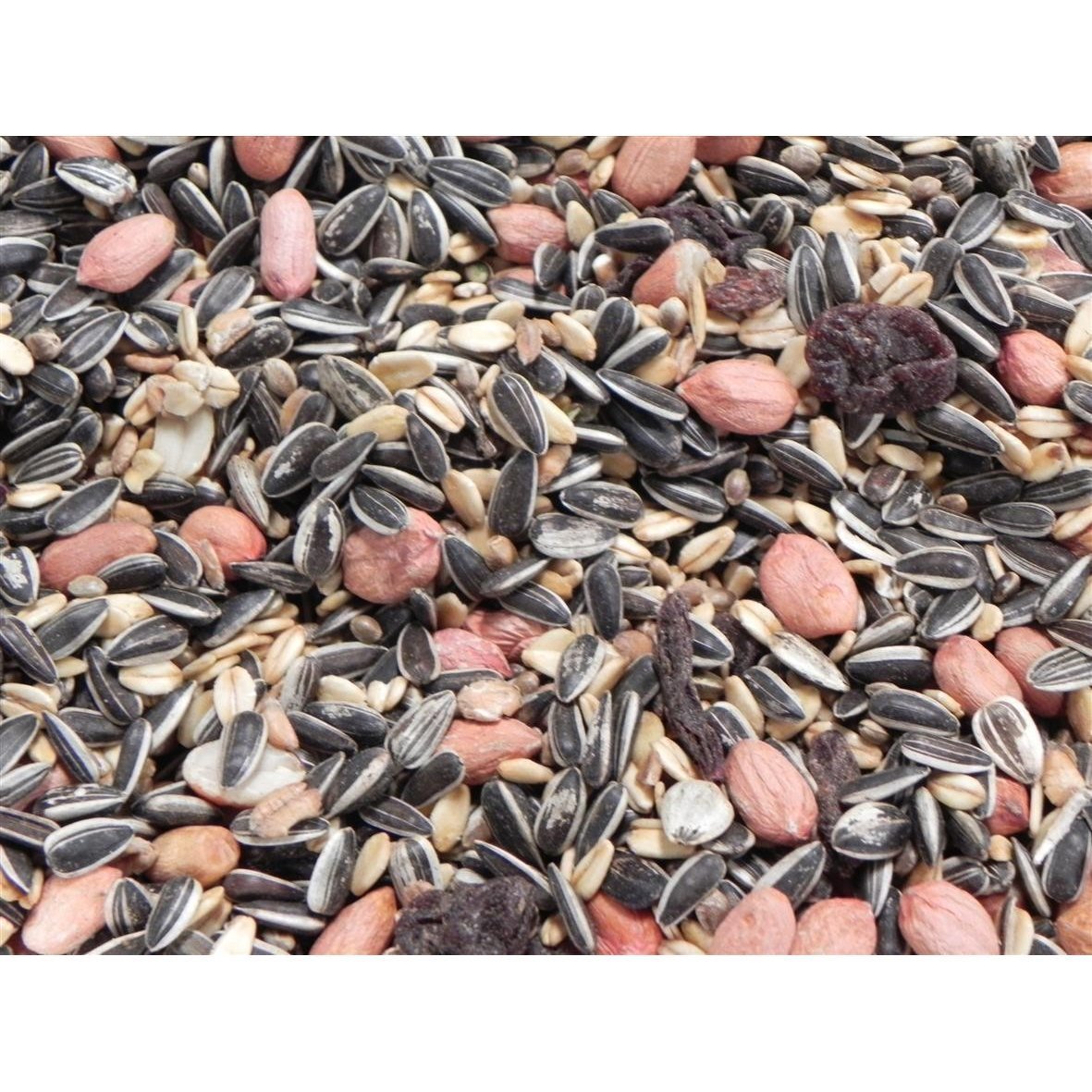 Classic Bird Wildvogelfutter ohne Hirse Bild 2