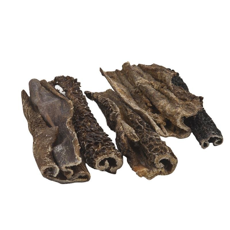 Classic Dog Rinderpansen natur Bild 2