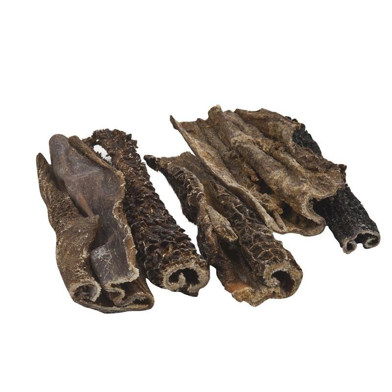 Classic Dog Rinderpansen natur Bild 1