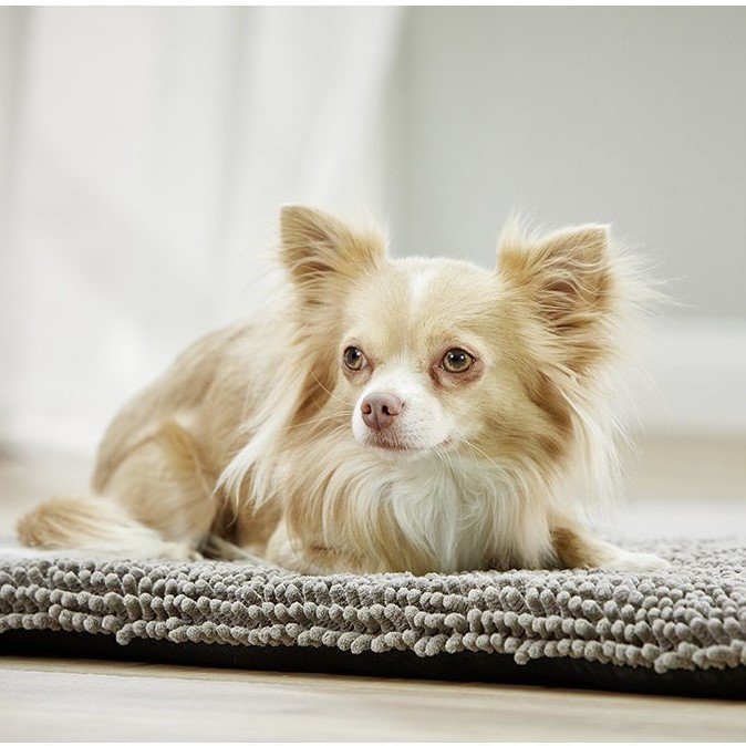 Cleankeeper Reise Pad Bild 14