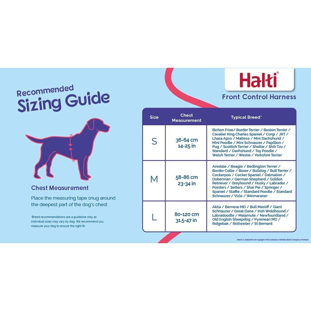 HALTI Harness Front Control Ausbildungsgeschirr für Hunde Bild 12