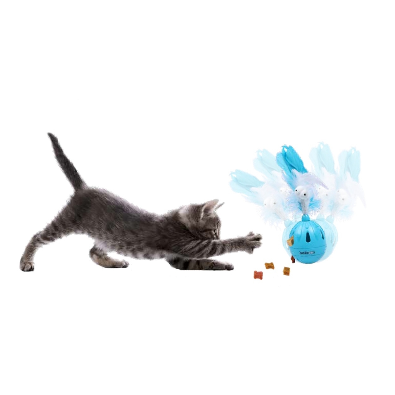 Coockoo Katzenspielzeug Tumbler Bild 4