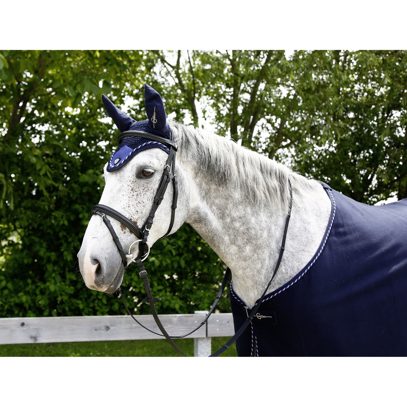 Fliegenhaube Tampa Bild 2