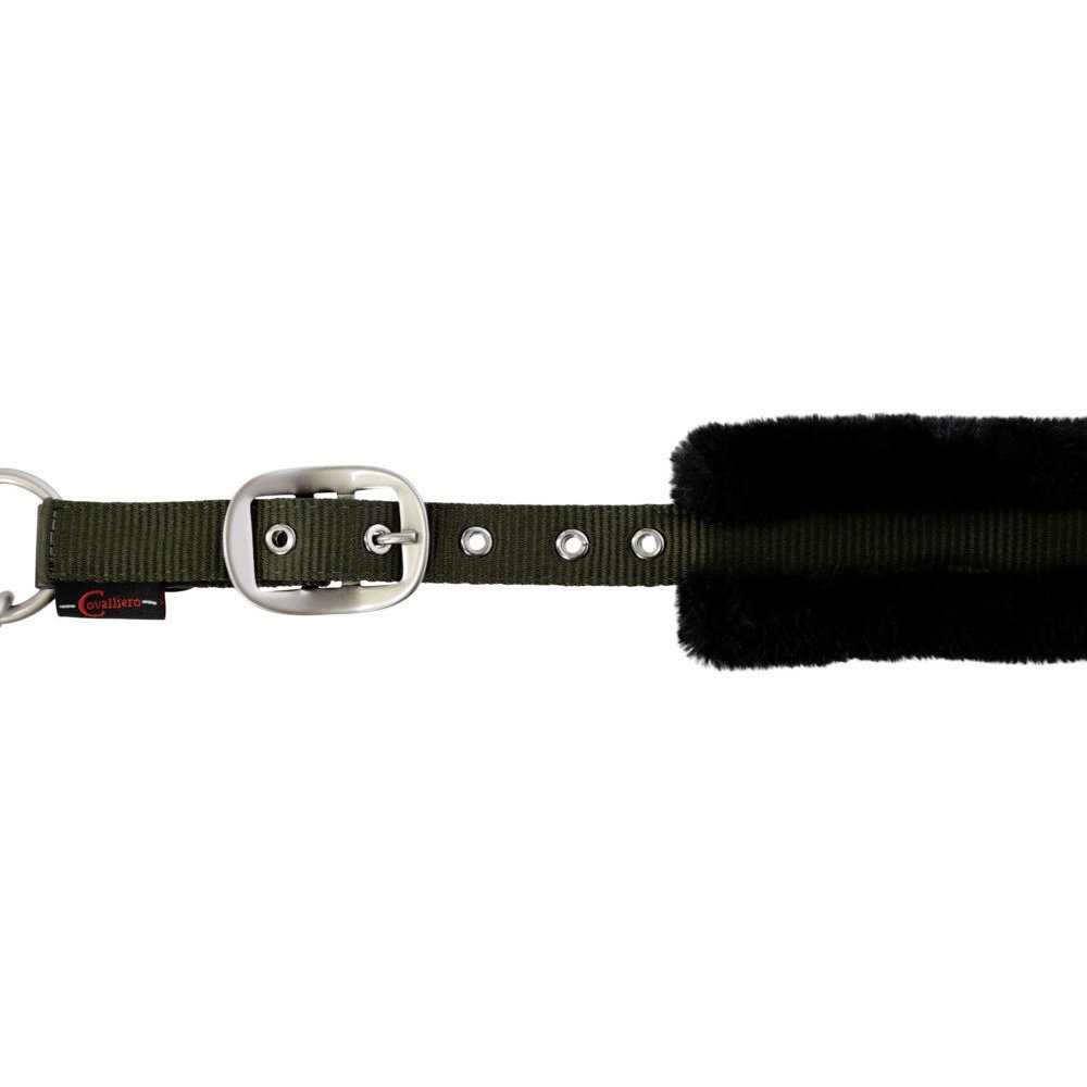 Halfter Cordano Bild 7