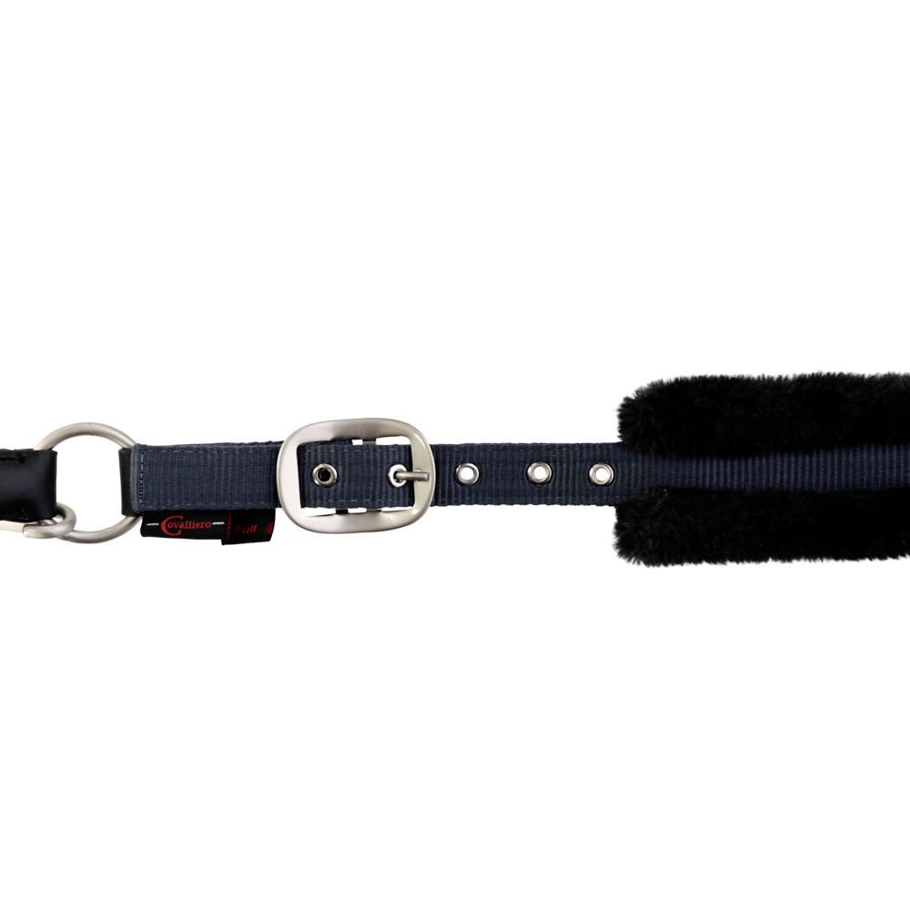 Halfter Cordano Bild 4