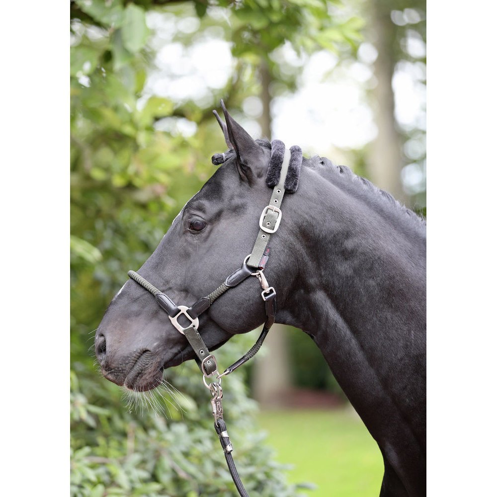 Halfter Cordano Bild 8