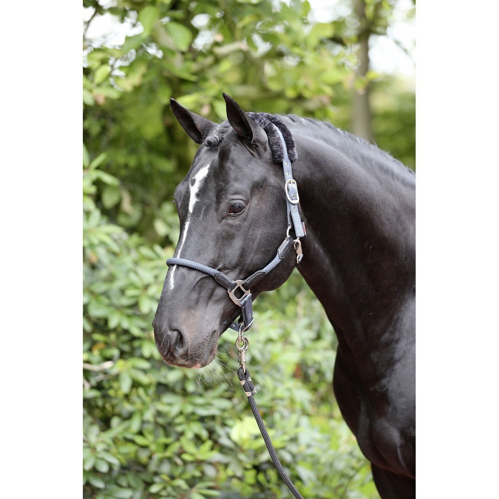 Halfter Cordano Bild 5