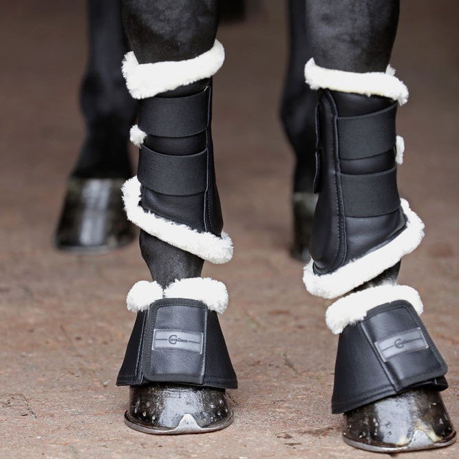 Hufglocken Pelisa Bild 5