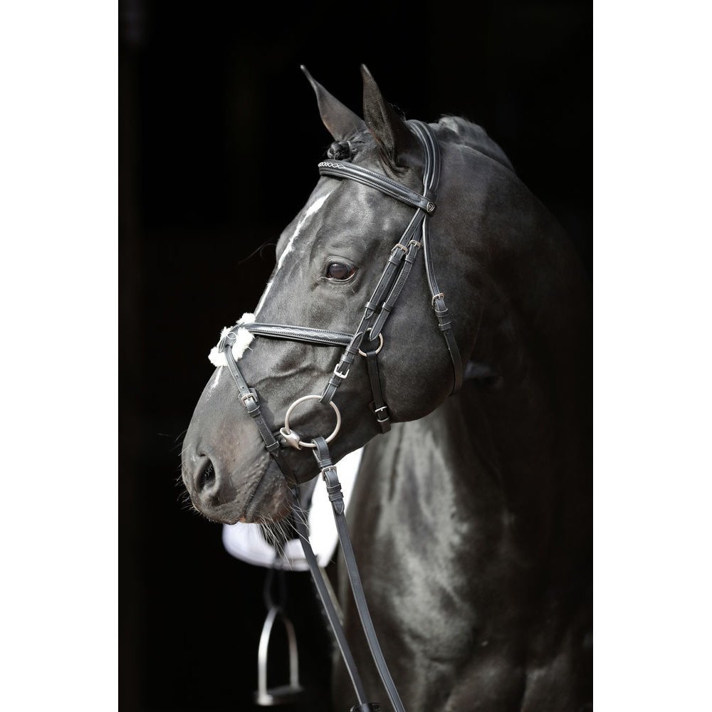 Mexikanische Trense Cancun Bild 2