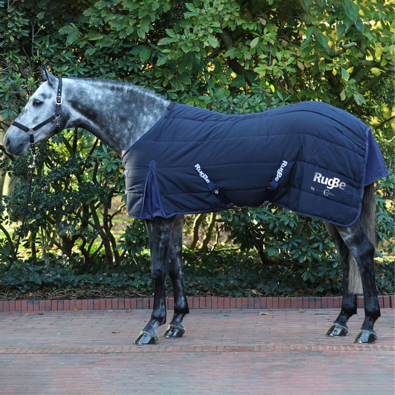 Covalliero Stall Pferdedecke RugBe Indoor Bild 2