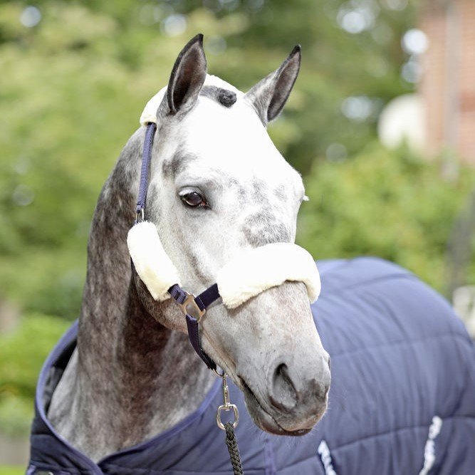 Webpelz Polster für Halfter Bild 3