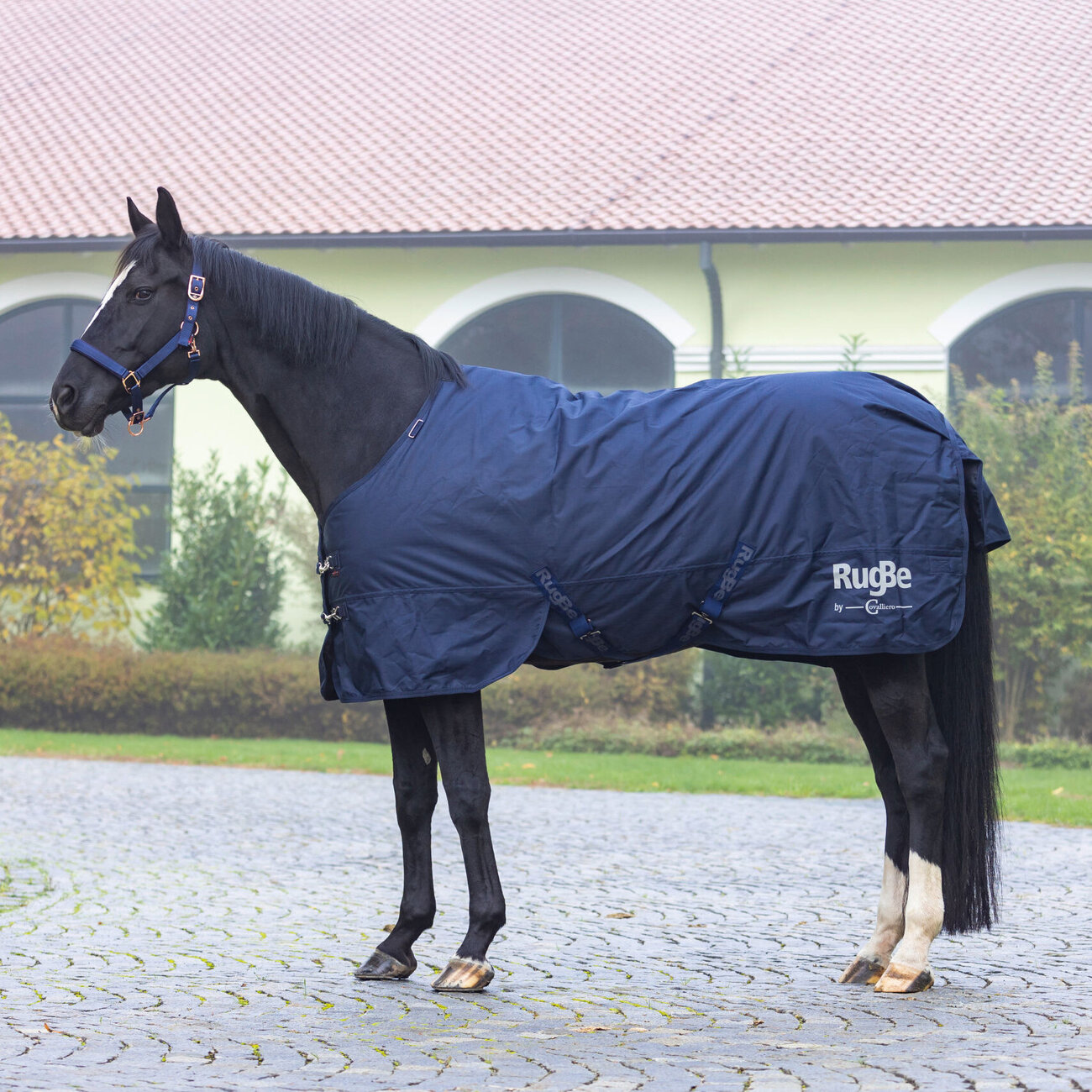 Winter Pferdedecke RugBe IceProtect 200 Bild 7