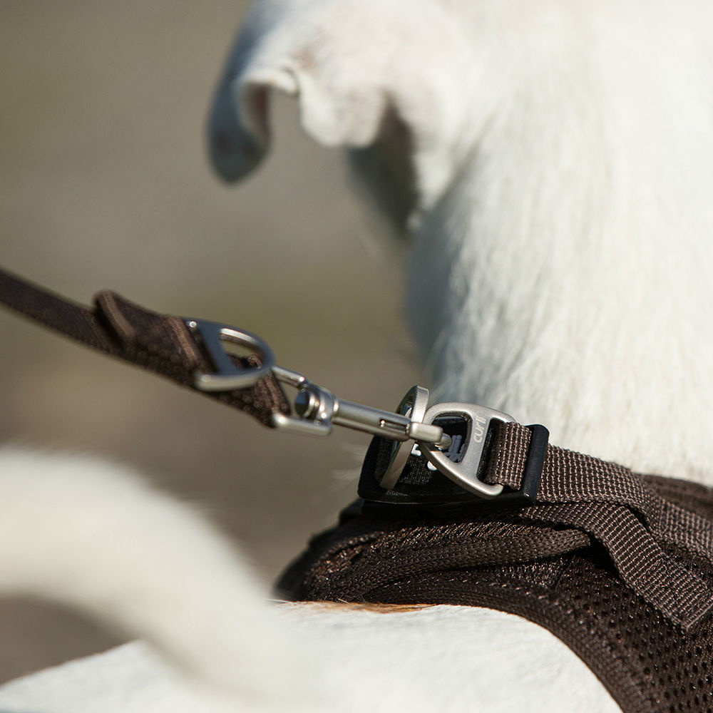 Curli Basic Leine Nylon Bild 13