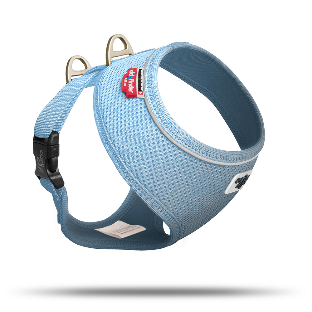 Curli Brustgeschirr Basic Air Mesh für kleine Hunde Bild 8