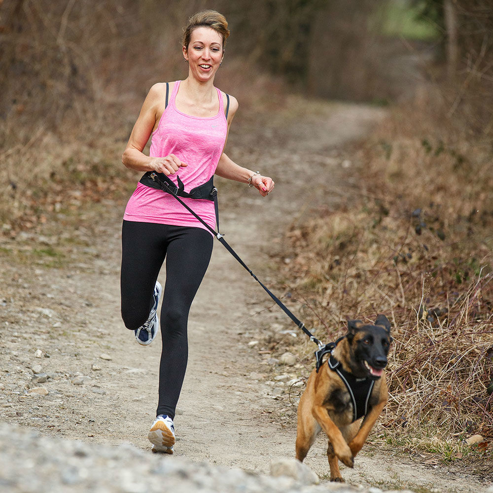 Curli Lok Hüftgurt Bild 2