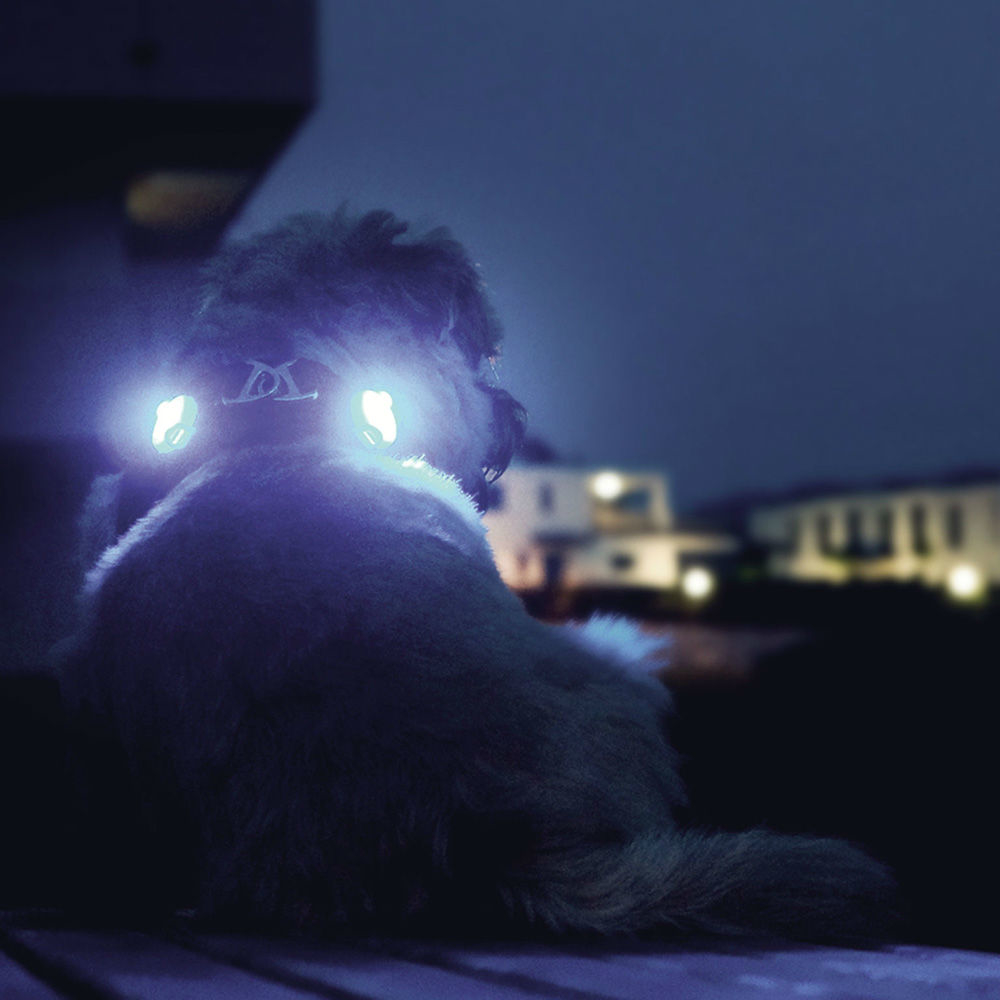 Curli luumi LED Sicherheitslicht Bild 2
